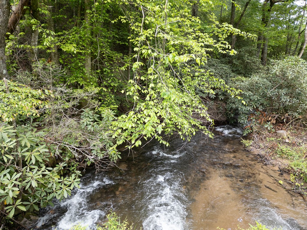 20561 Joe Brown Highway Property Photo 24