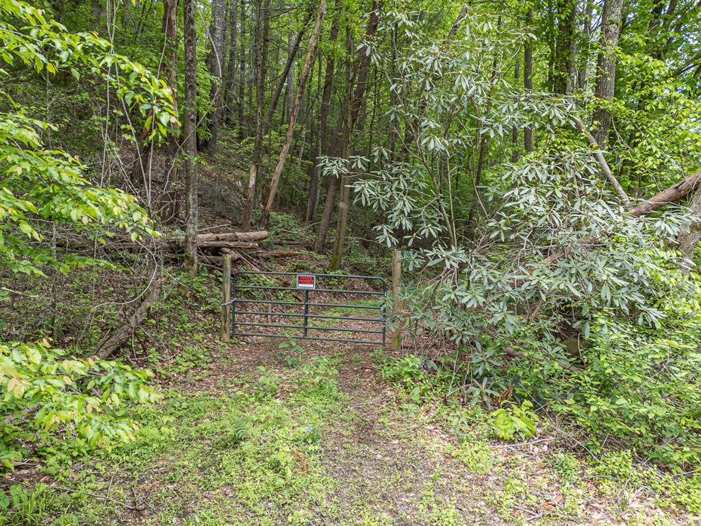 20561 Joe Brown Highway Property Photo 25