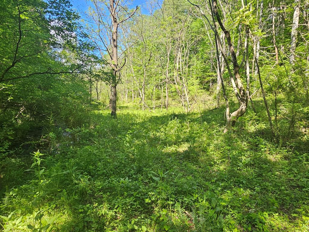 20561 Joe Brown Highway Property Photo 26
