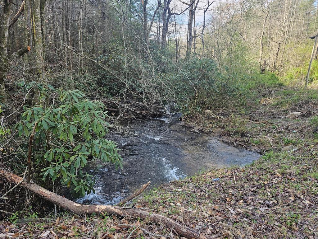 20561 Joe Brown Highway Property Photo 27