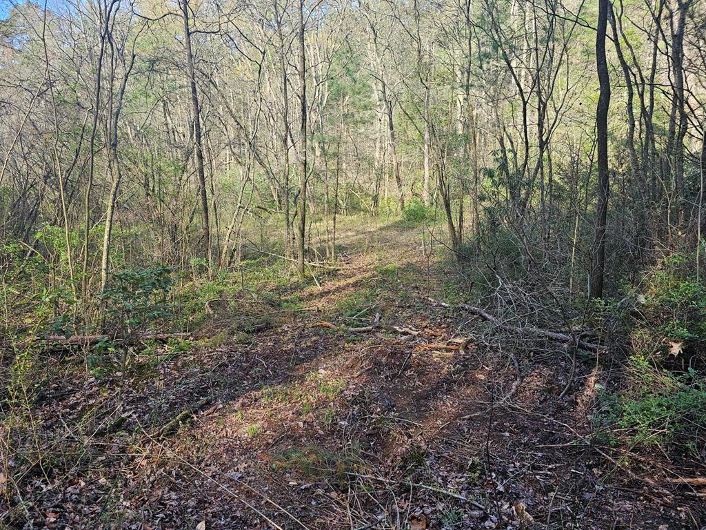 20561 Joe Brown Highway Property Photo 29