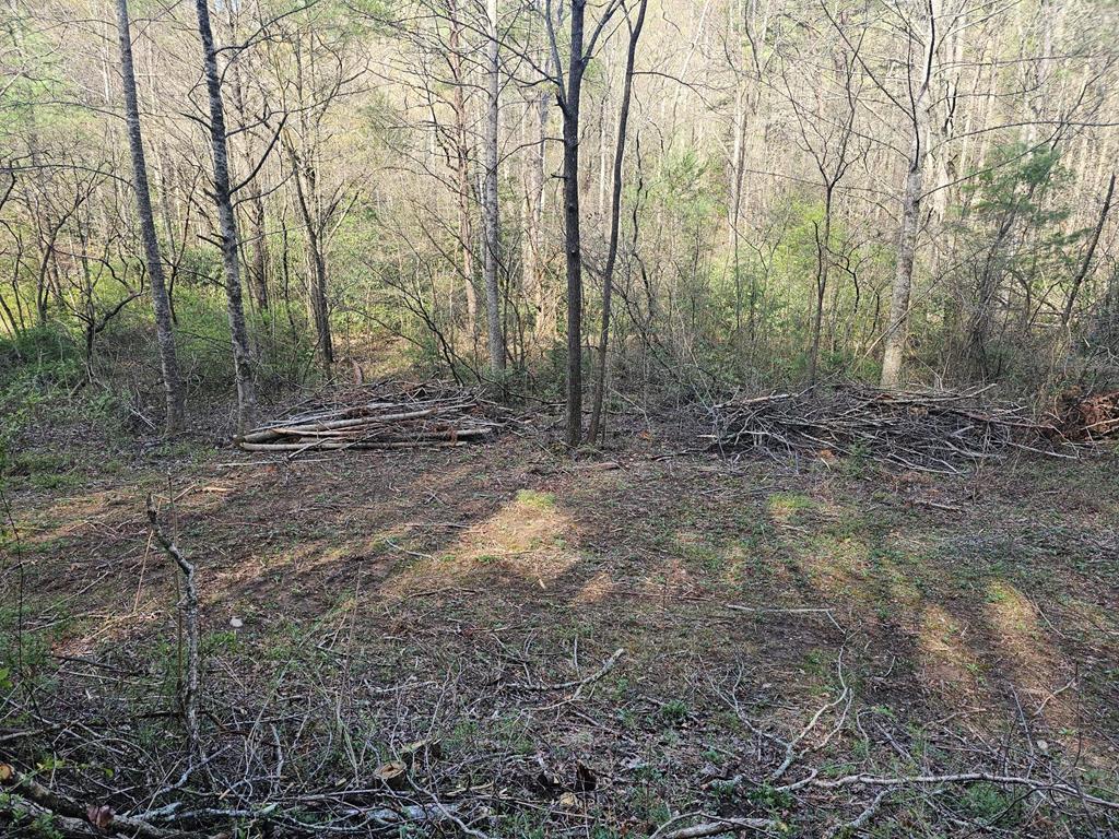 20561 Joe Brown Highway Property Photo 30