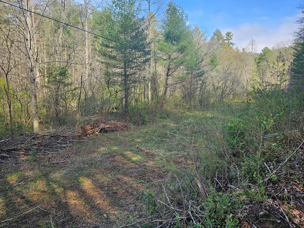 20561 Joe Brown Highway Property Photo 31