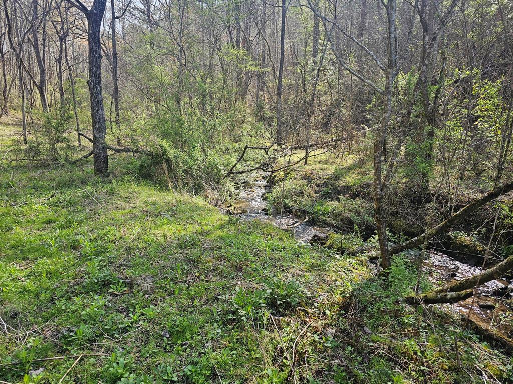 20561 Joe Brown Highway Property Photo 33