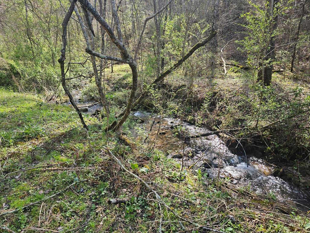 20561 Joe Brown Highway Property Photo 34