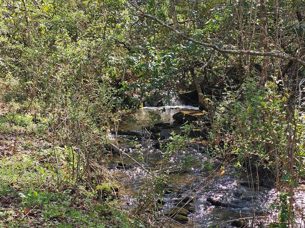 20561 Joe Brown Highway Property Photo 36