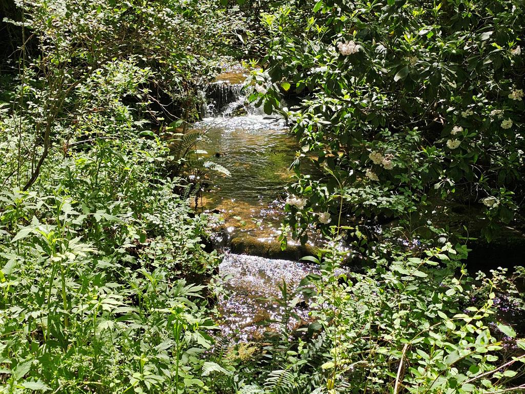 20561 Joe Brown Highway Property Photo 38
