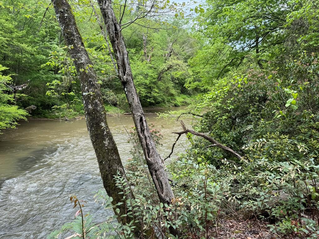 Lot 25 Holly Point Property Photo