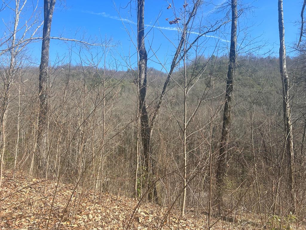Lot 94 Towalgia Dr Property Photo 1