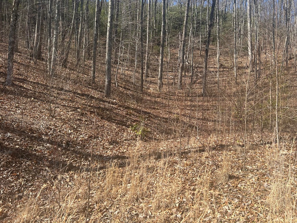 Lot 94 Towalgia Dr Property Photo 3