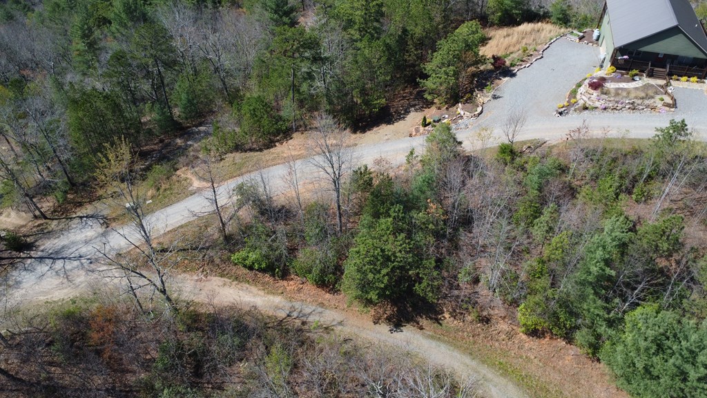 Lot 46 Kudzu Creek Trail Property Photo 2