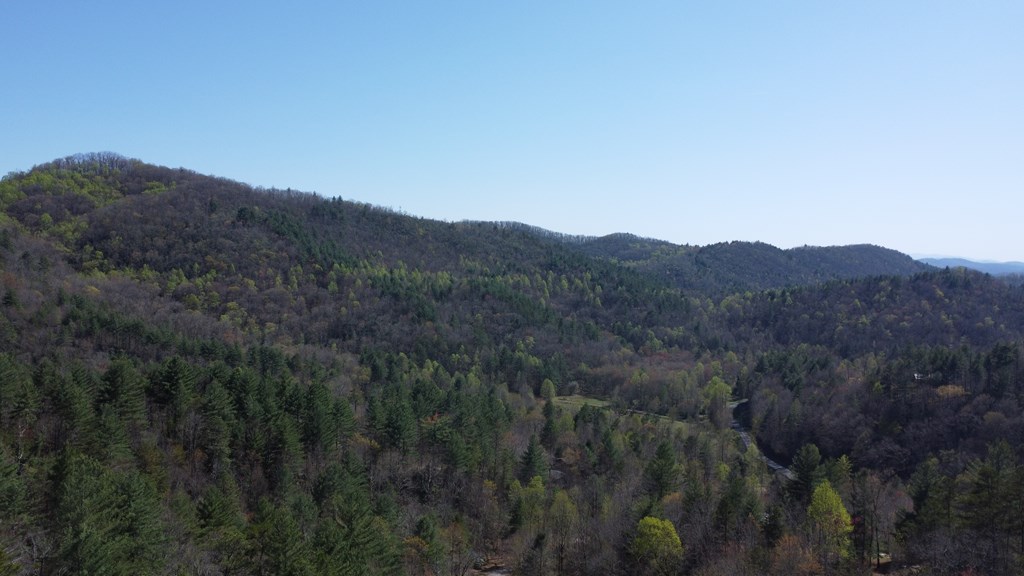 Lot 46 Kudzu Creek Trail Property Photo 3