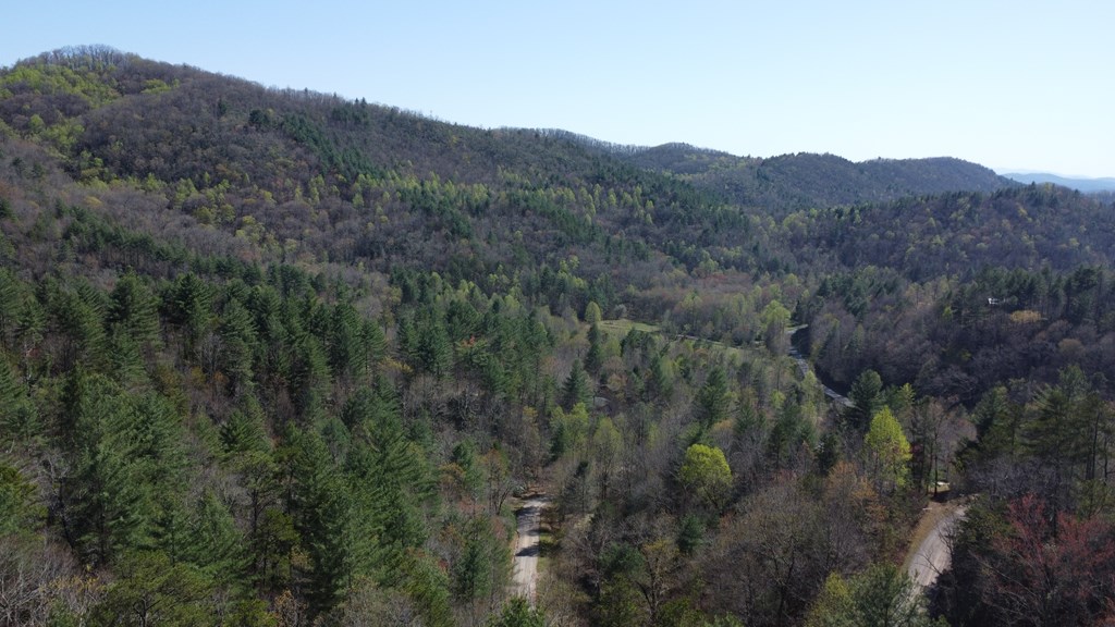 Lot 46 Kudzu Creek Trail Property Photo 4