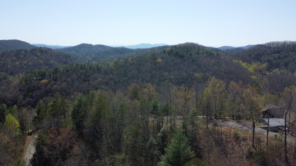 Lot 46 Kudzu Creek Trail Property Photo 5