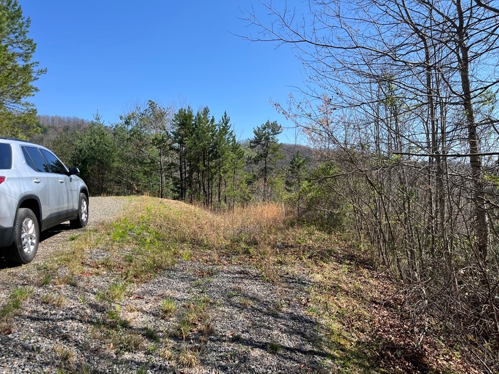 Lot 46 Kudzu Creek Trail Property Photo 7