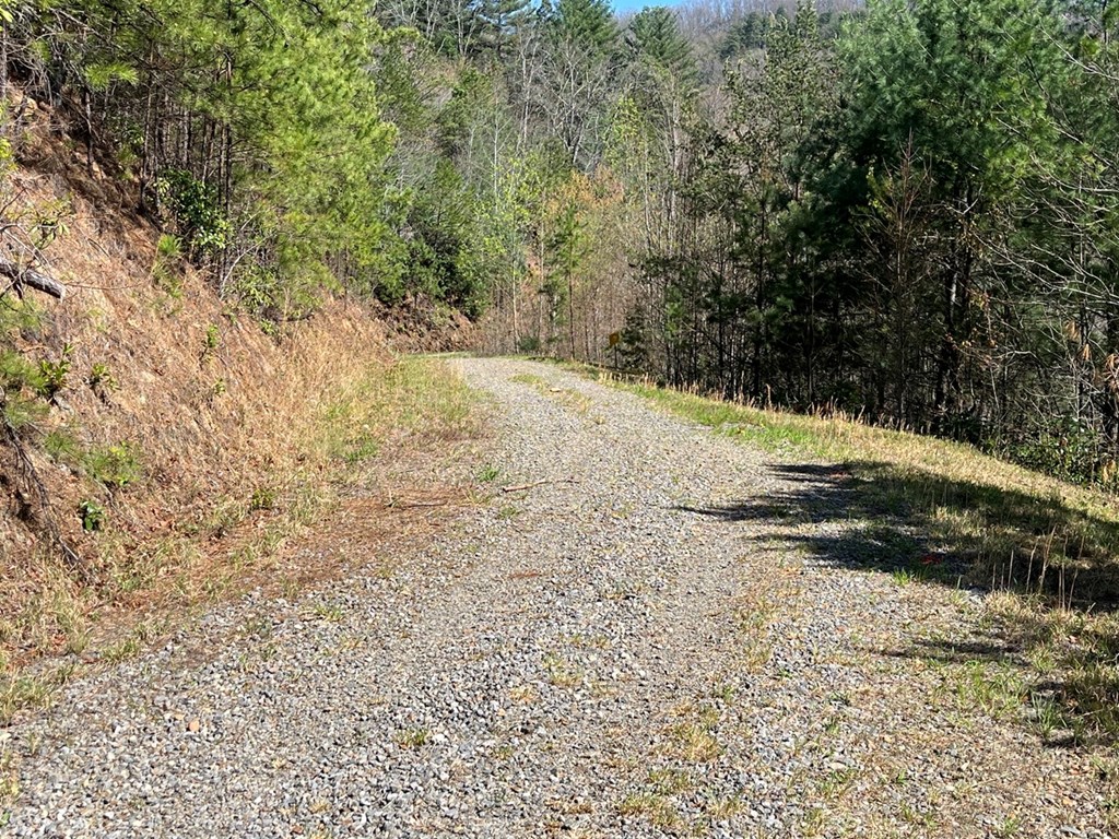Lot 46 Kudzu Creek Trail Property Photo 8