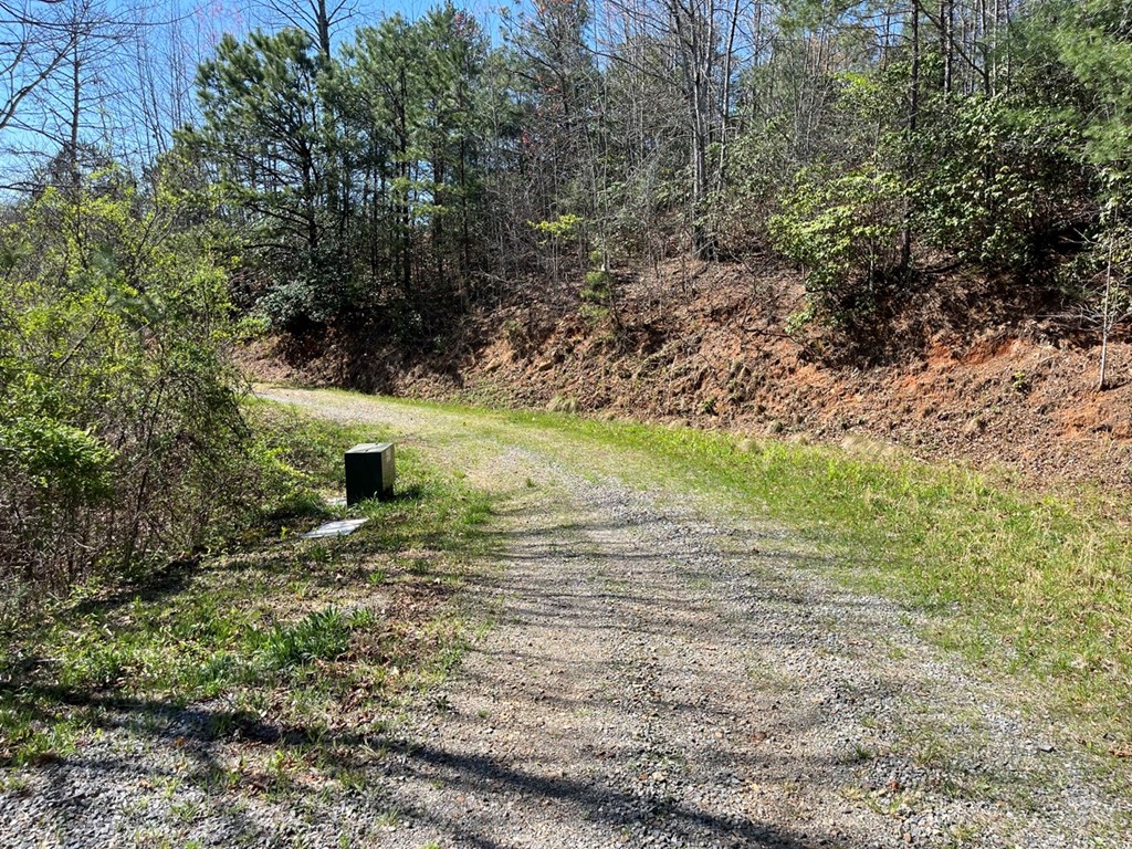 Lot 46 Kudzu Creek Trail Property Photo 9