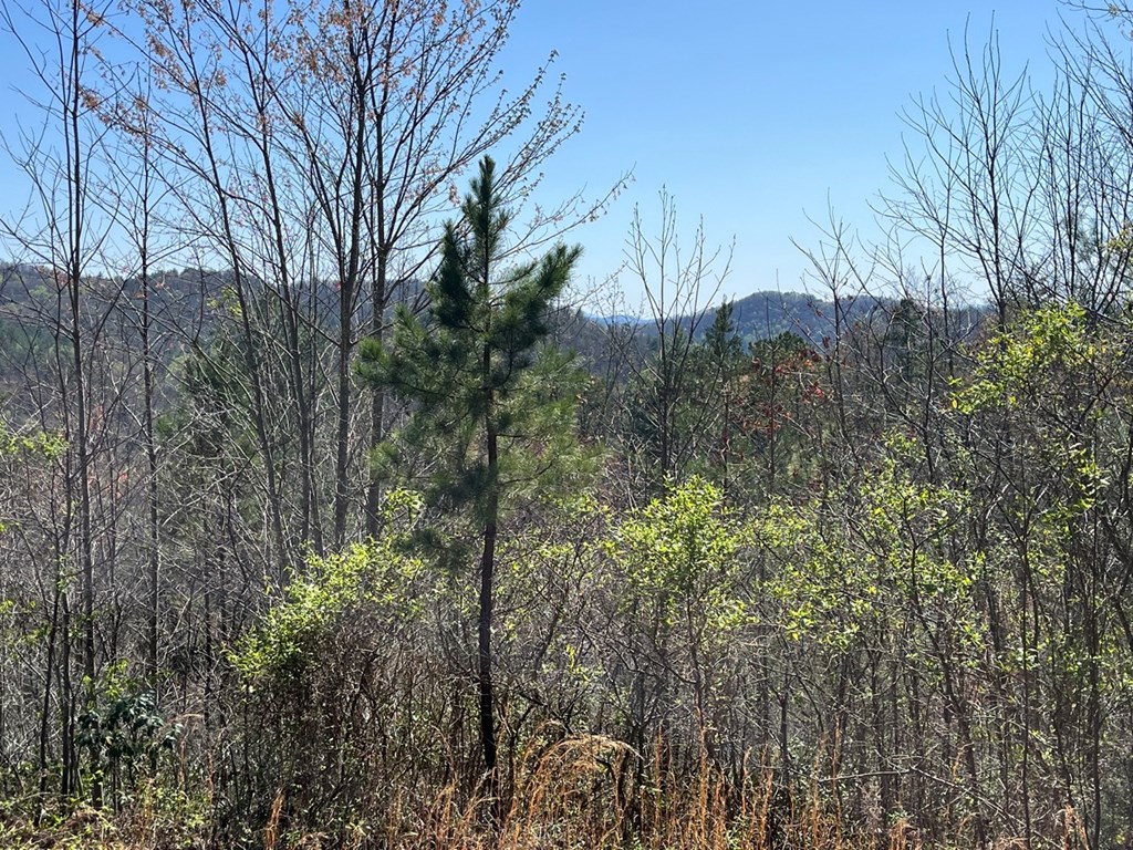 Lot 46 Kudzu Creek Trail Property Photo 10