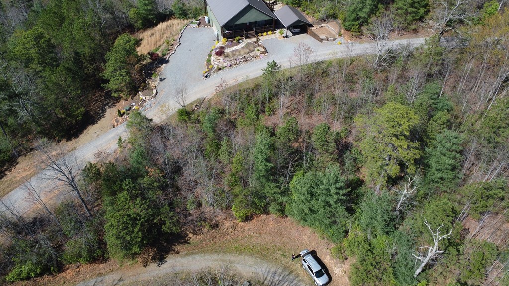 Lot 46 Kudzu Creek Trail Property Photo 11