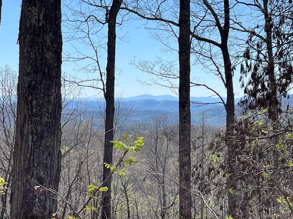 Lot 76 Turkey Pen Drive Property Photo 1