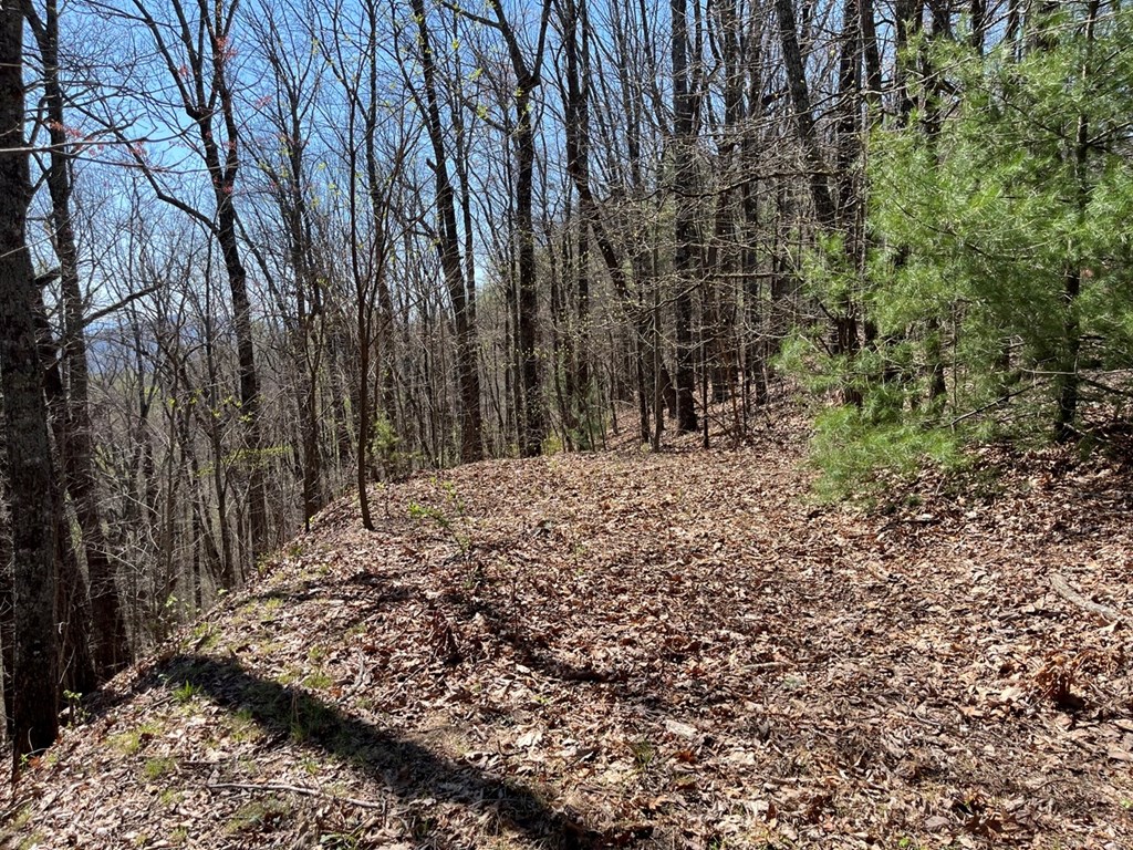 Lot 76 Turkey Pen Drive Property Photo 2
