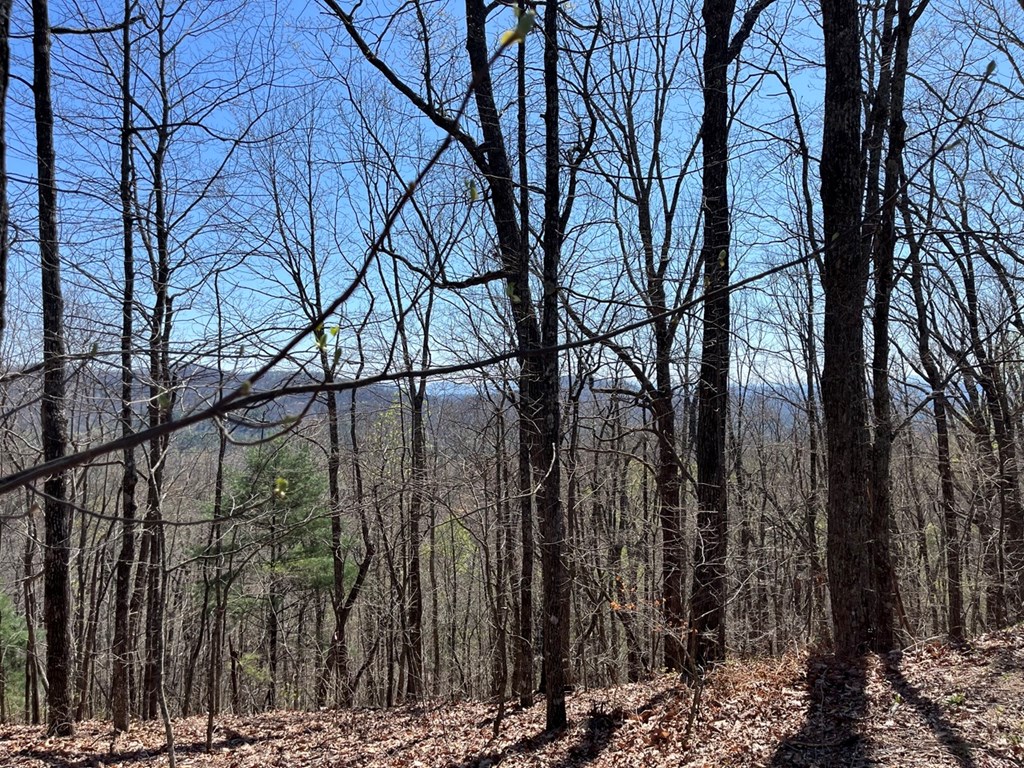 Lot 76 Turkey Pen Drive Property Photo 4