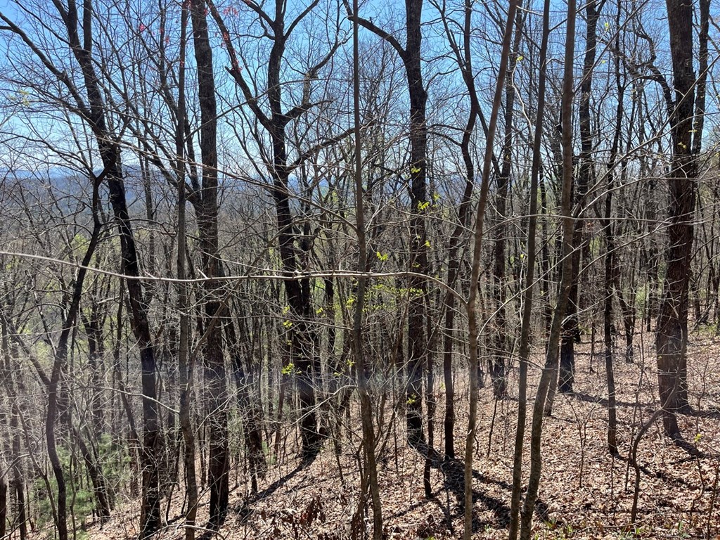 Lot 76 Turkey Pen Drive Property Photo 5