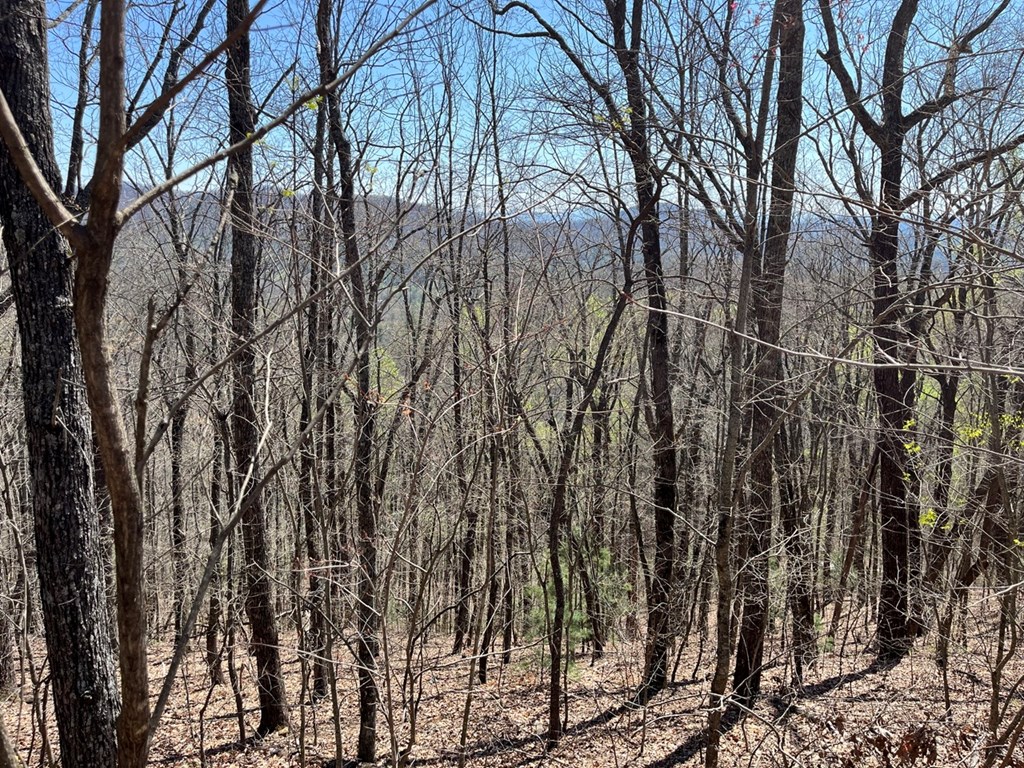 Lot 76 Turkey Pen Drive Property Photo 6