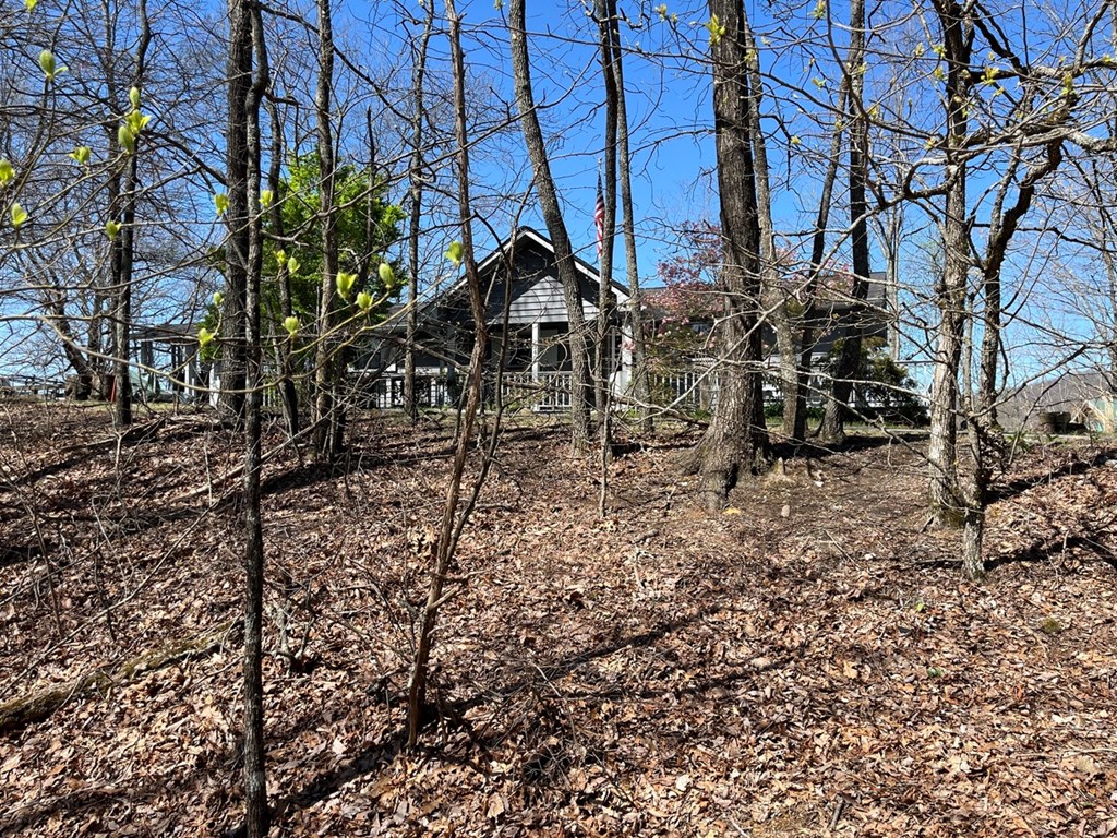 Lot 76 Turkey Pen Drive Property Photo 7