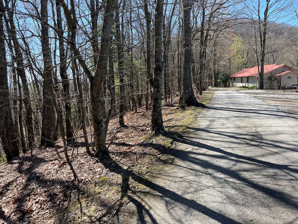 Lot 76 Turkey Pen Drive Property Photo 8