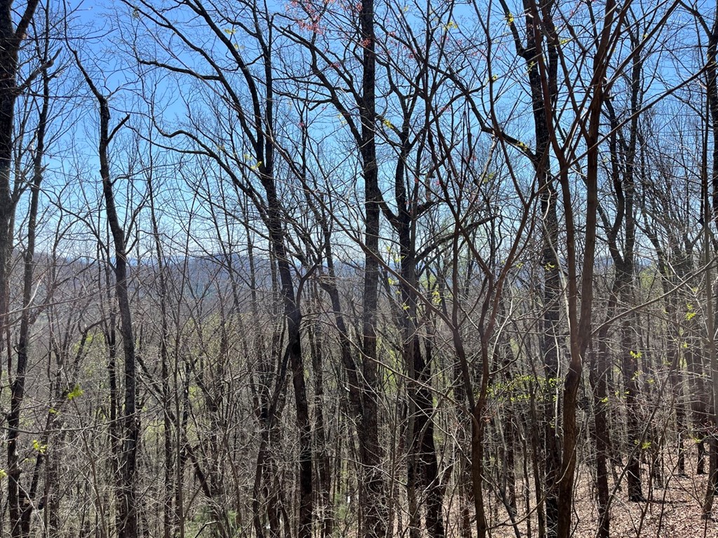 Lot 76 Turkey Pen Drive Property Photo 10