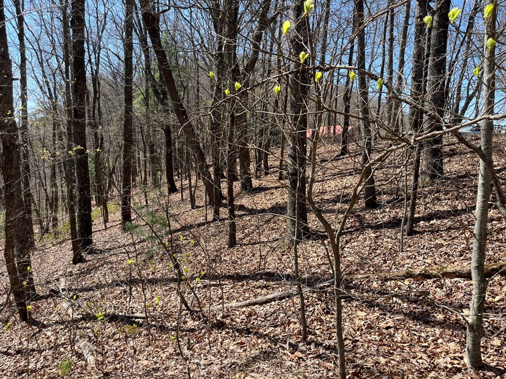 Lot 76 Turkey Pen Drive Property Photo 11