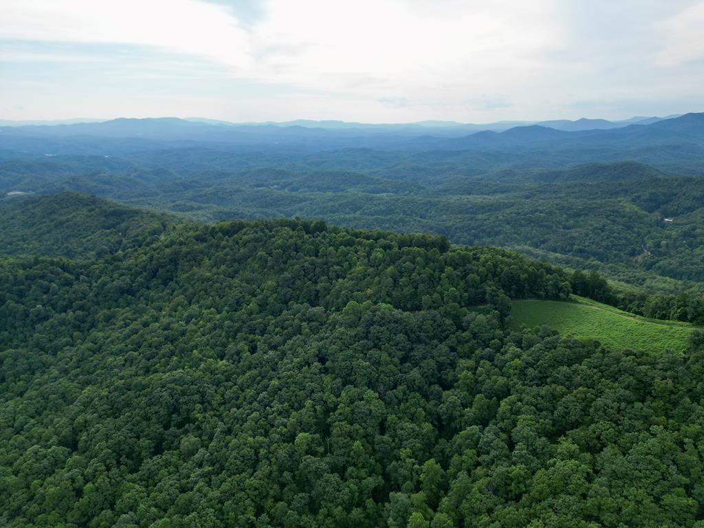 195.63 Fain Peak Property Photo