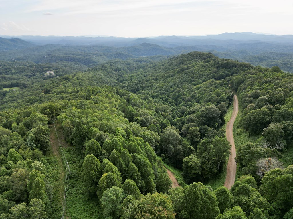 15.75 Fain Peak Property Photo 2