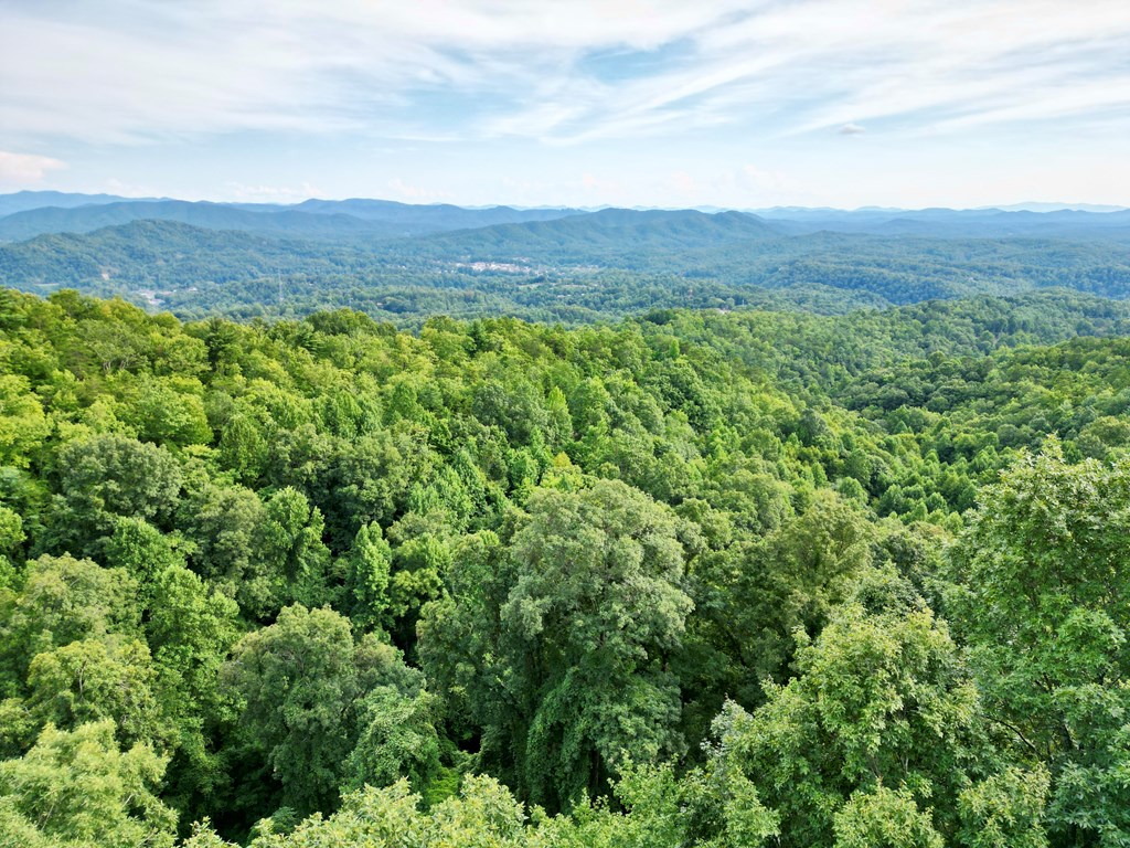 15.75 Fain Peak Property Photo 4