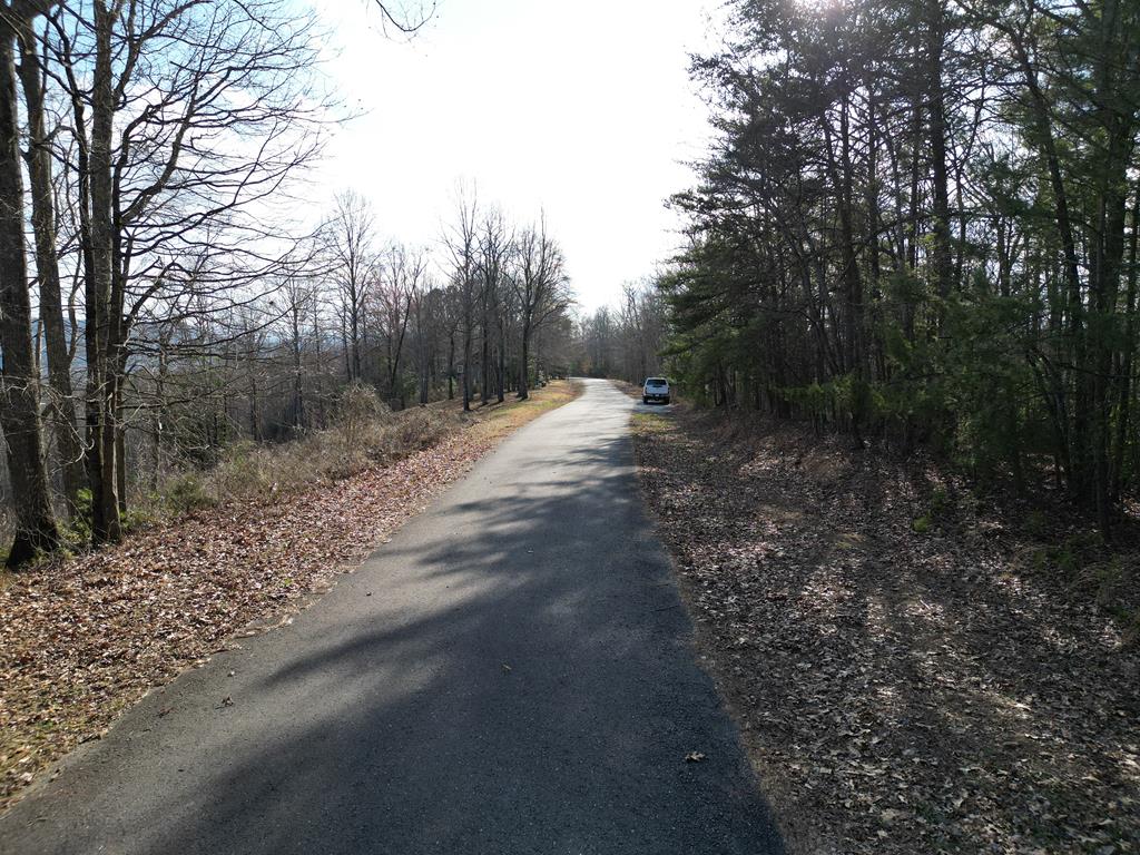 179.88 Fain Peak Property Photo 5