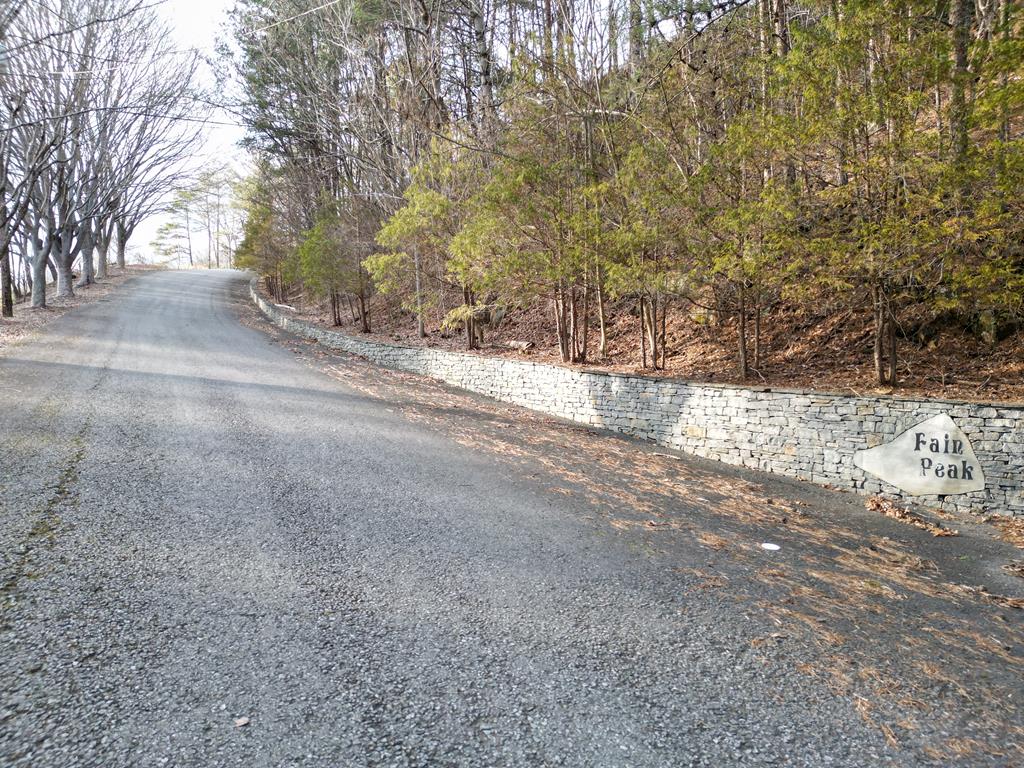179.88 Fain Peak Property Photo 8