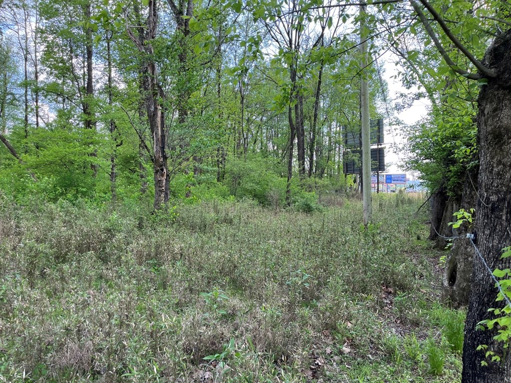 00 Us 19 Property Photo 6