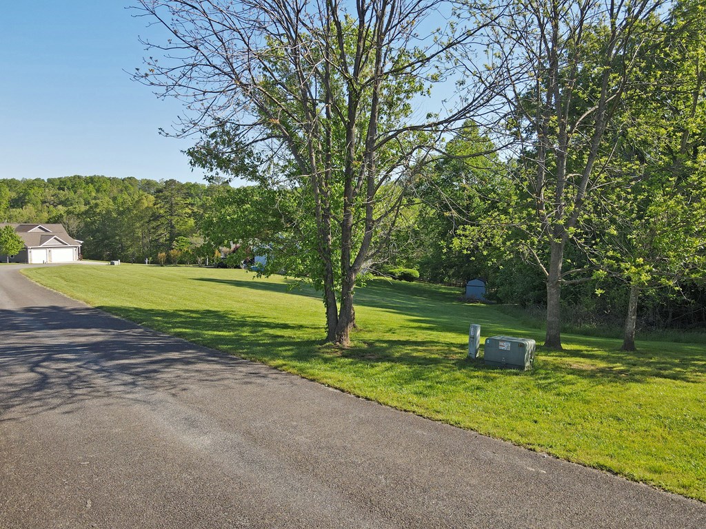 Lot 36 The Smithfields Property Photo 6