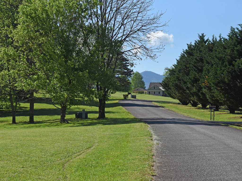 Lot 36 The Smithfields Property Photo 15