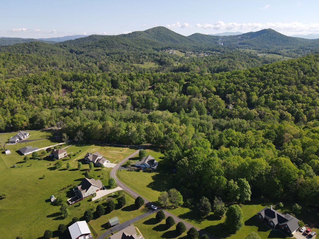 Lot 36 The Smithfields Property Photo 17