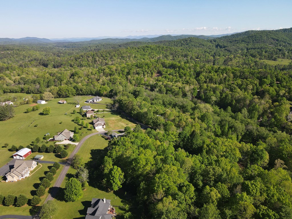 Lot 36 The Smithfields Property Photo 18