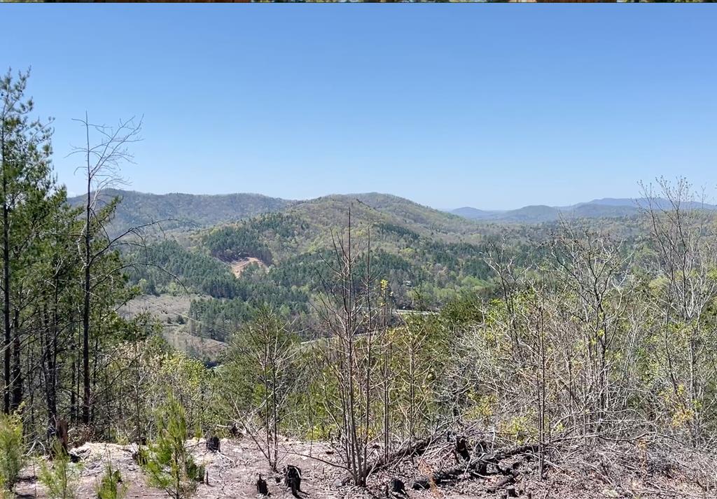 0 Sunrise Mountain Estates Property Photo 1