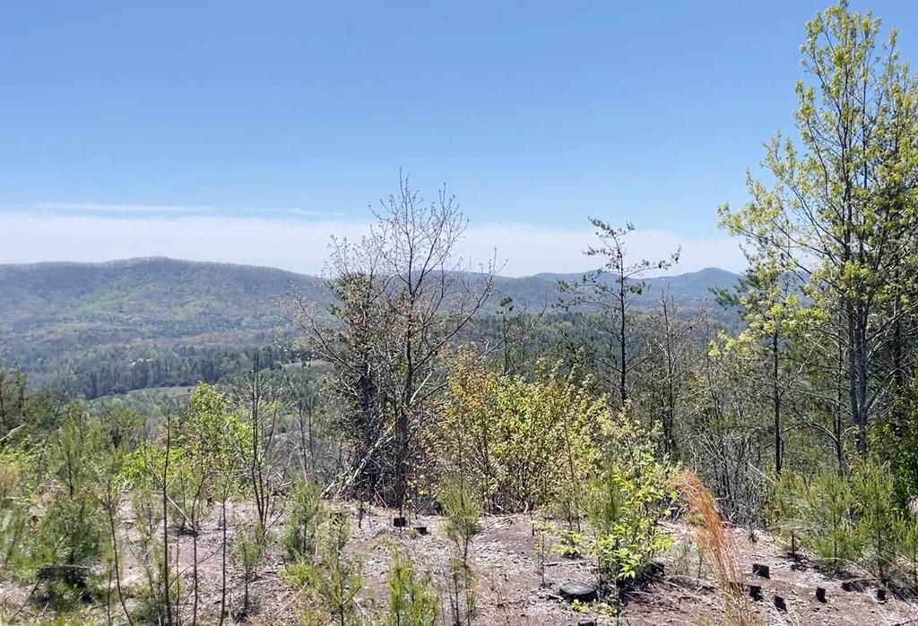 0 Sunrise Mountain Estates Property Photo 3