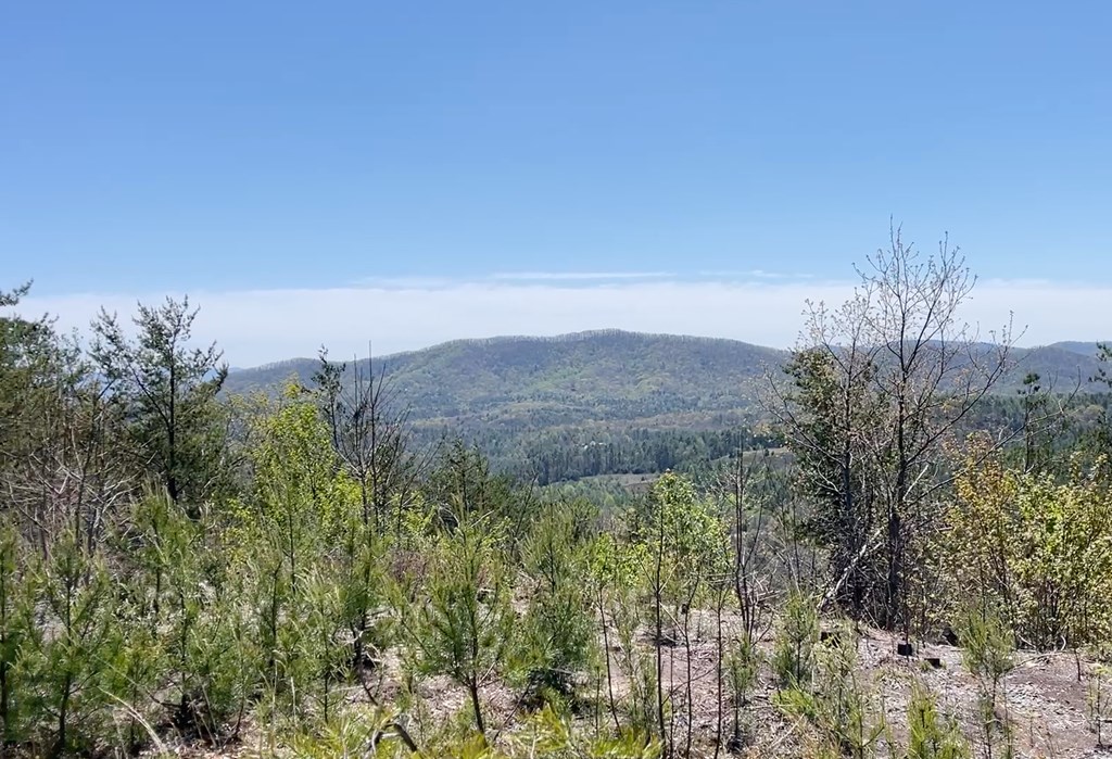 0 Sunrise Mountain Estates Property Photo 4