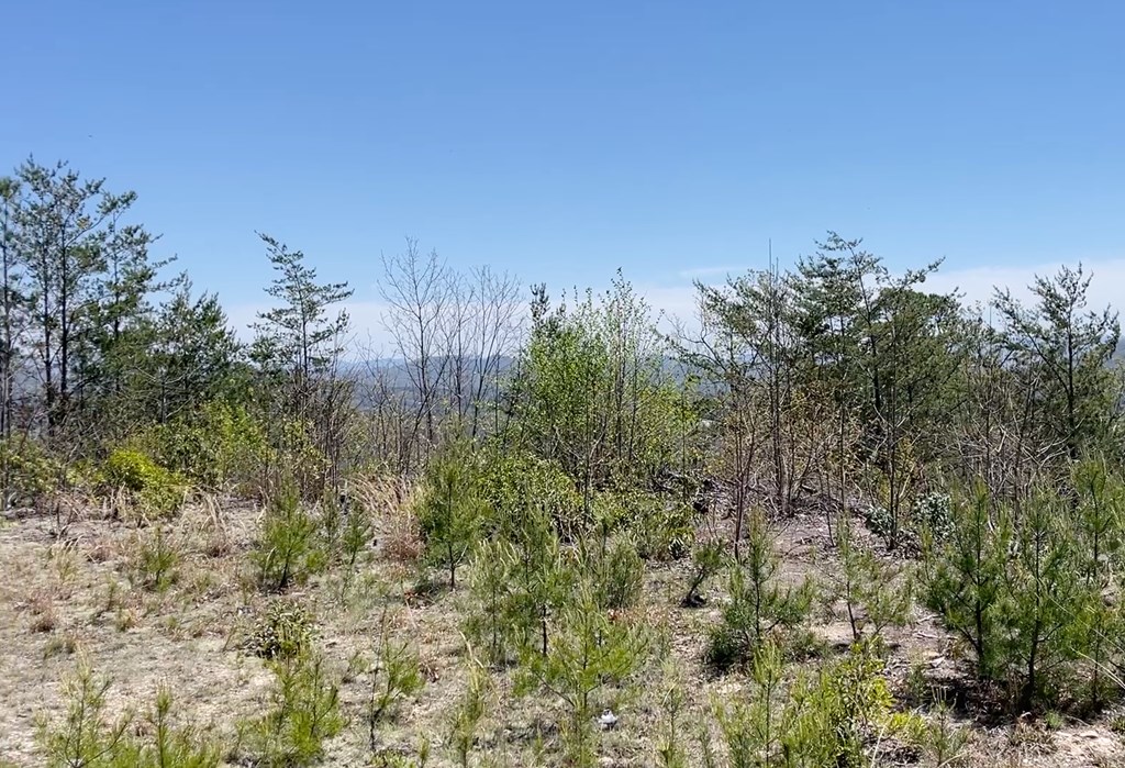 0 Sunrise Mountain Estates Property Photo 5
