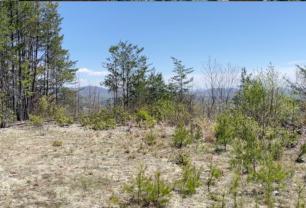 0 Sunrise Mountain Estates Property Photo 6