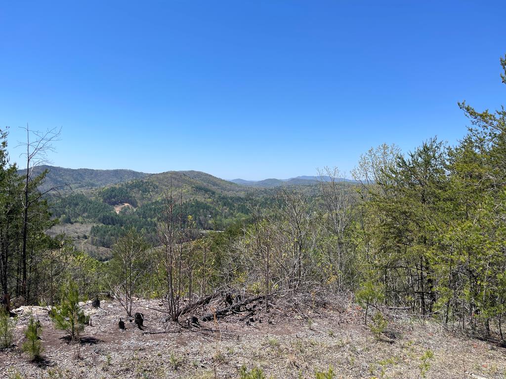 0 Sunrise Mountain Estates Property Photo 7