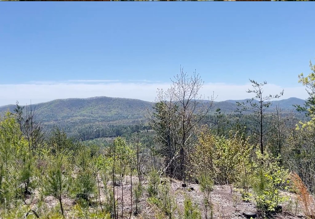 0 Sunrise Mountain Estates Property Photo 8
