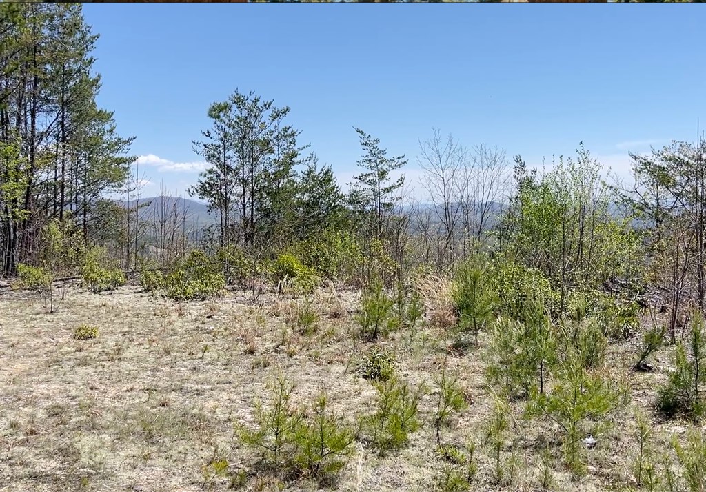 0 Sunrise Mountain Estates Property Photo 9